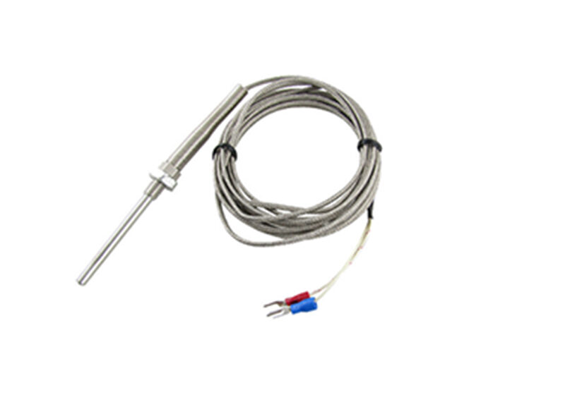 RTD (Resistance Temperature Detectors)